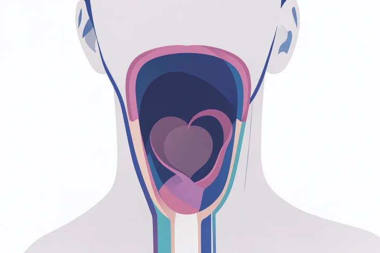Anatomia da garganta humana após a remoção das amígdalas, mostrando a área cicatrizada.